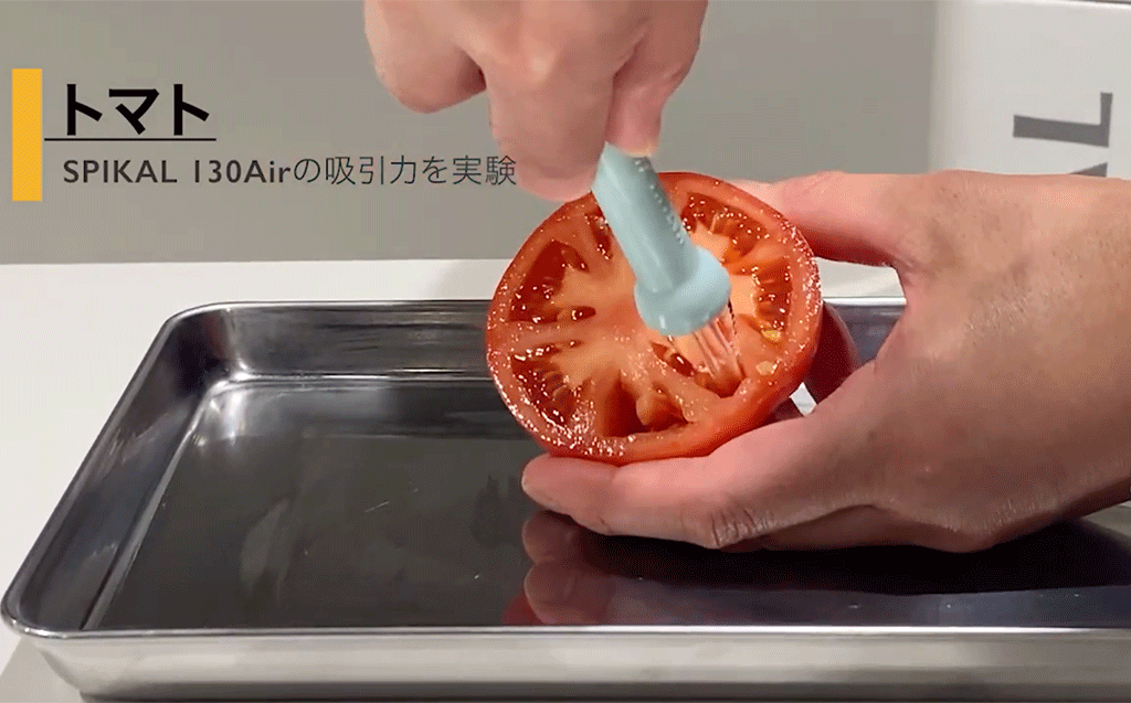 吸引力の強さをトマトの果肉で実験する動画イメージ